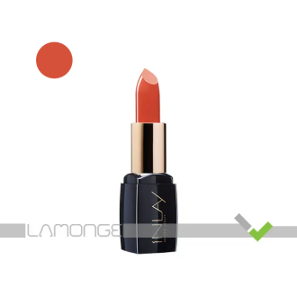 رژ لب جامد این لی مدل Cinnamon شماره 400