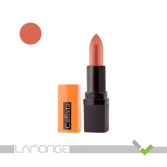 رژ لب جامد کالیستا Color Rich L51