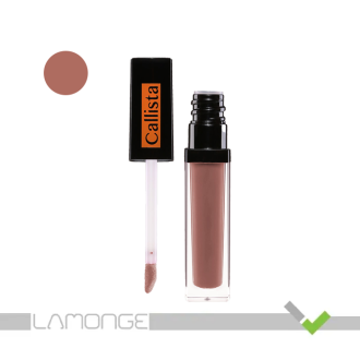 رژ لب مایع کالیستا مدل Stain Matt شماره L81
