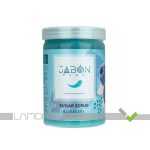 اسکراب شکری لایه بردار پوست Blueberry ژبن پلاس