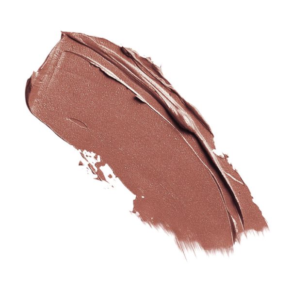 رژ لب جامد این لی مدل Wet Brown شماره 470 - Image 2