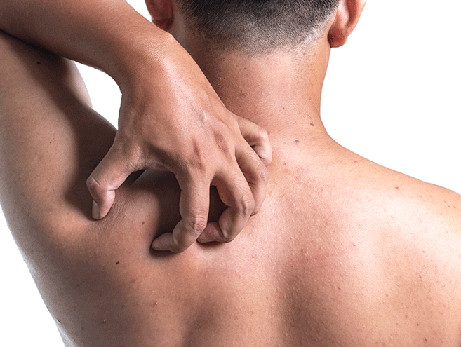 بهترین شوینده بدن ضدجوش