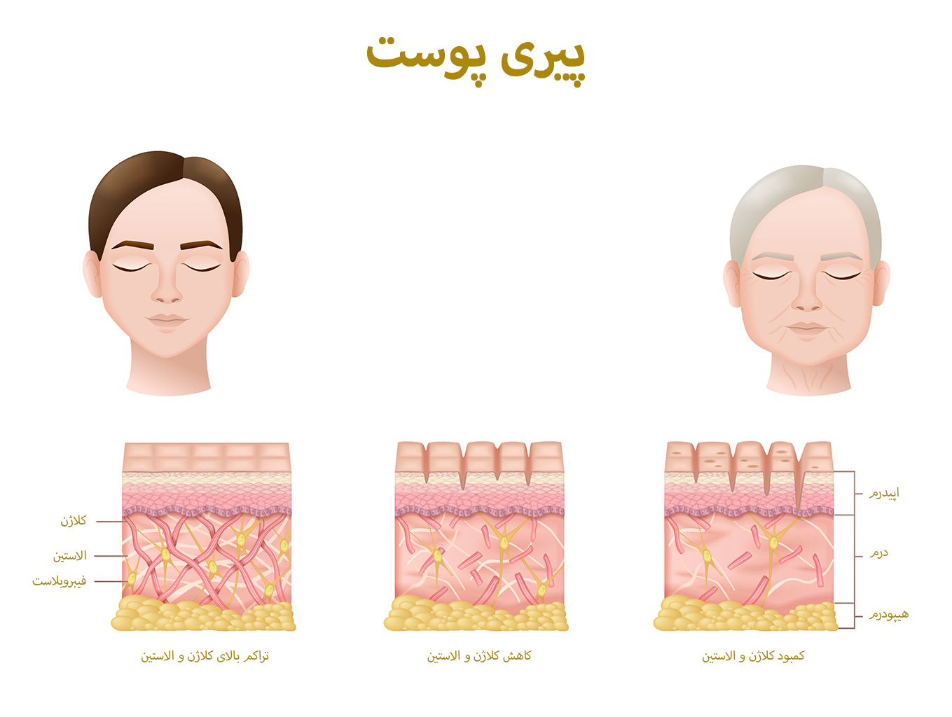 جوانسازی پوست صورت